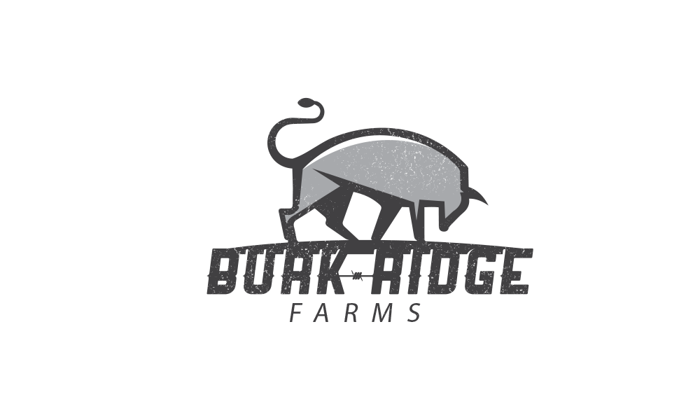 Burk Ridge Farms logo &mdash; brand identity by McCoy Creative