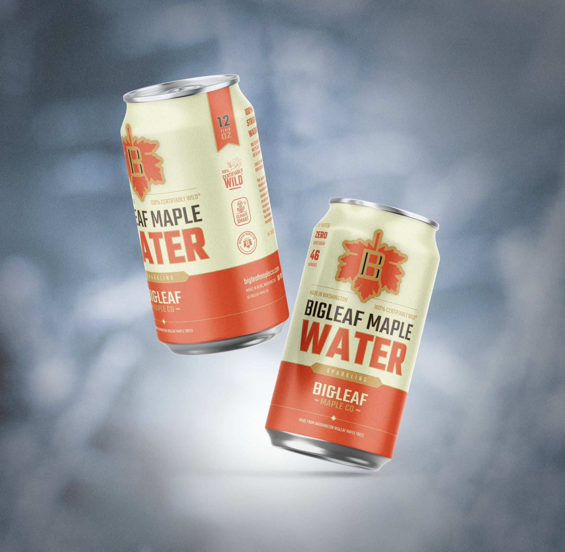 Bigleaf Maple Water sparkling can packaging — McCoy Creative