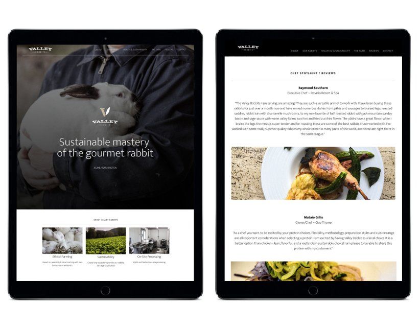 Valley Rabbits — McCoy Creative